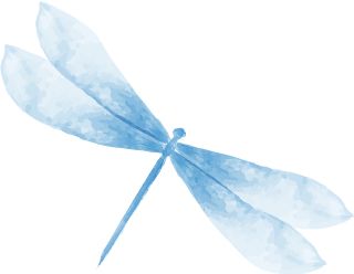 讲述 | 中国园林在海外的第一座里程碑——纽约大都会明轩-3