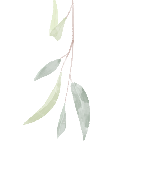 未来社区“和睦方式”||地方创生的浙江道路-9