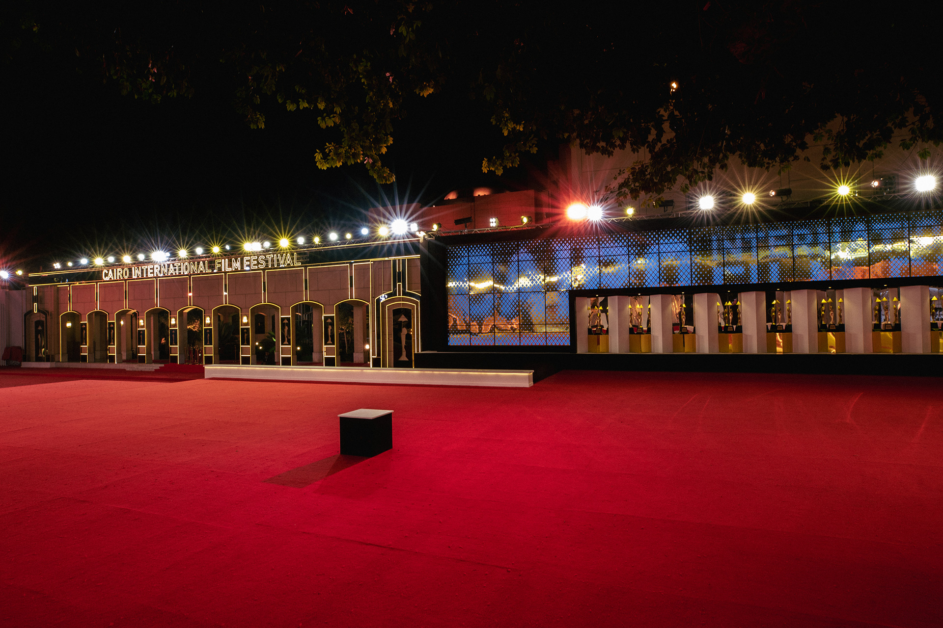 43 开罗国际电影节丨埃及开罗-48