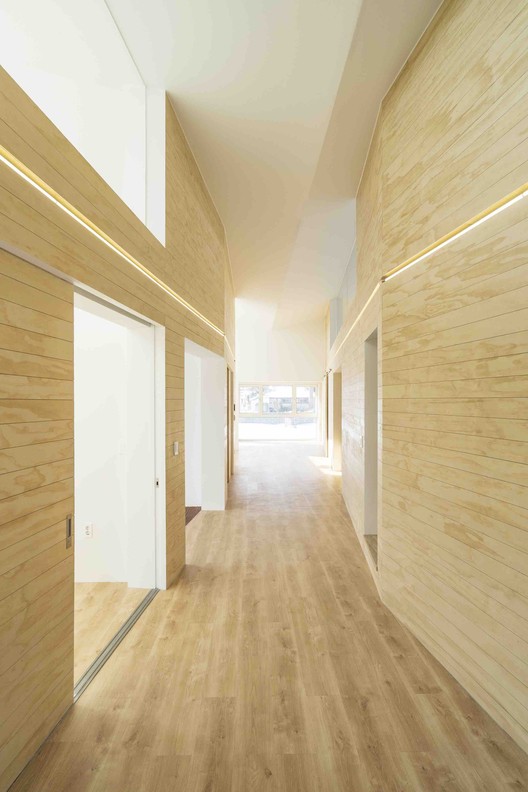 温暖阳光照亮受伤主人生活-9