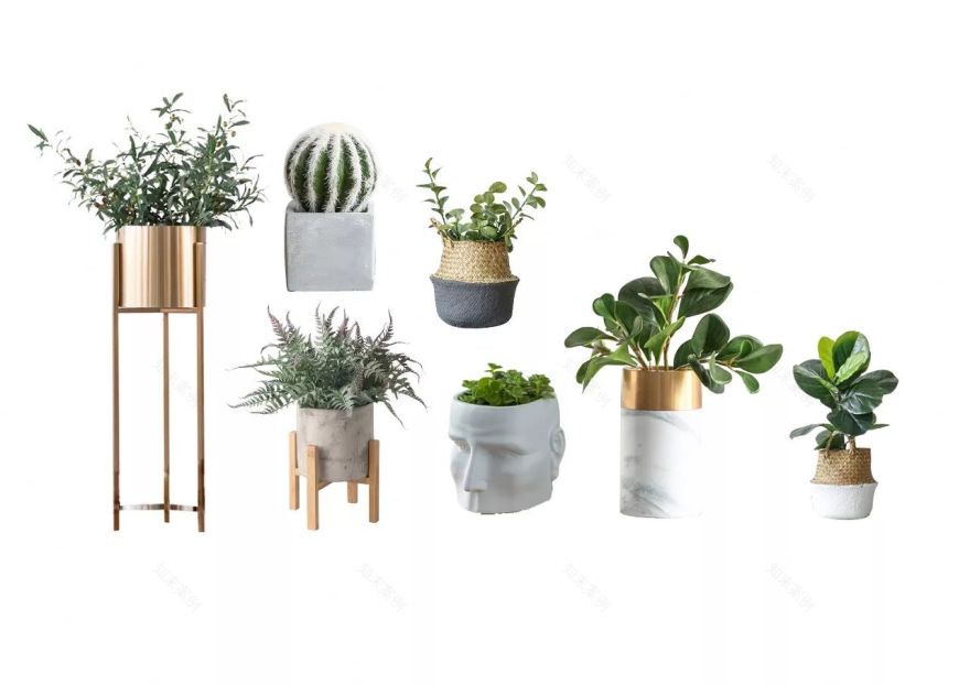 北欧风格植物搭配,贴近自然的居家美学-39