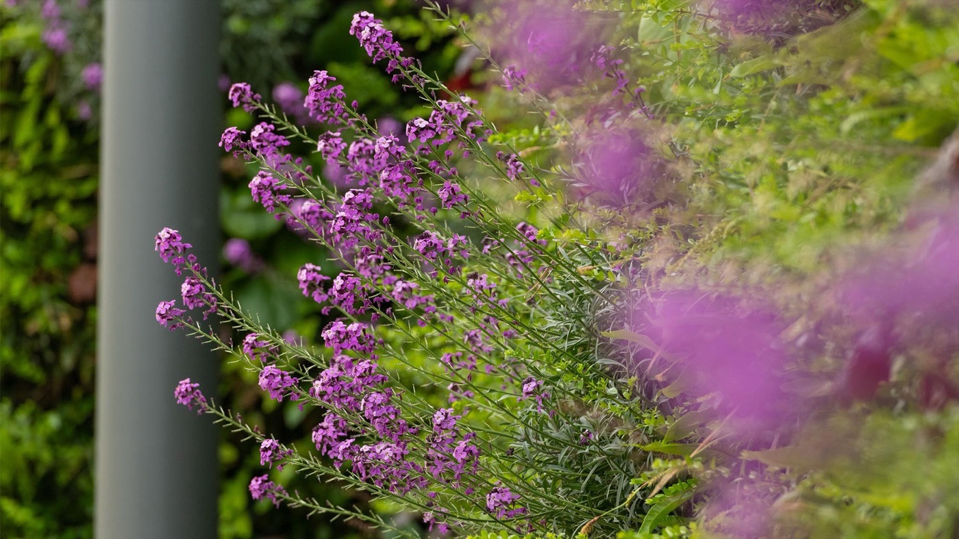 Fosse Park · 多功能零售空间的生态创新设计丨英国丨Macgregor Smith-10