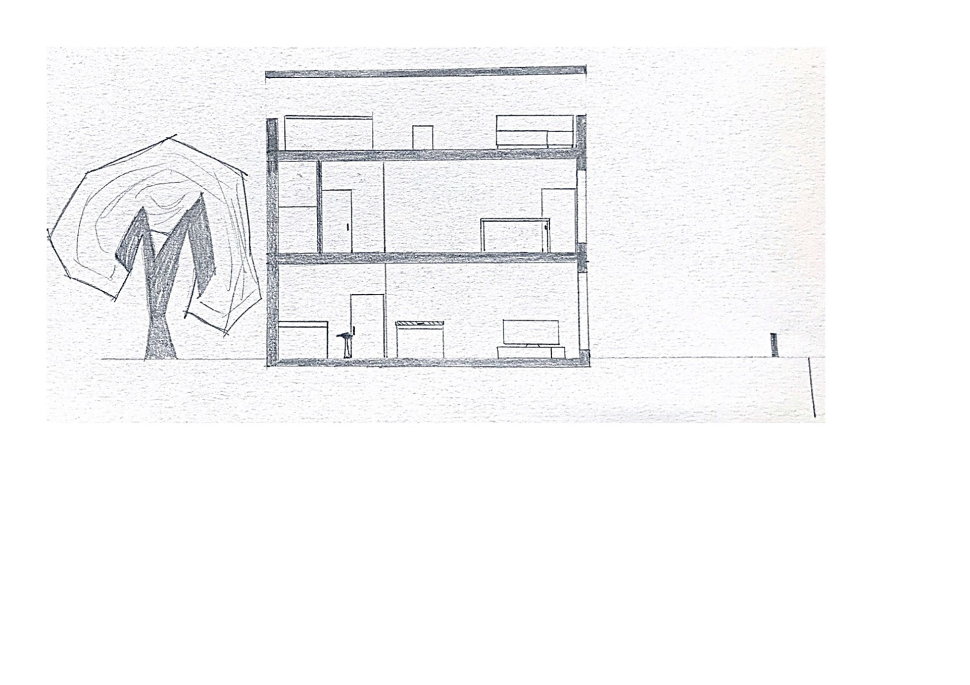 Kaufmann House and House for a pro-24