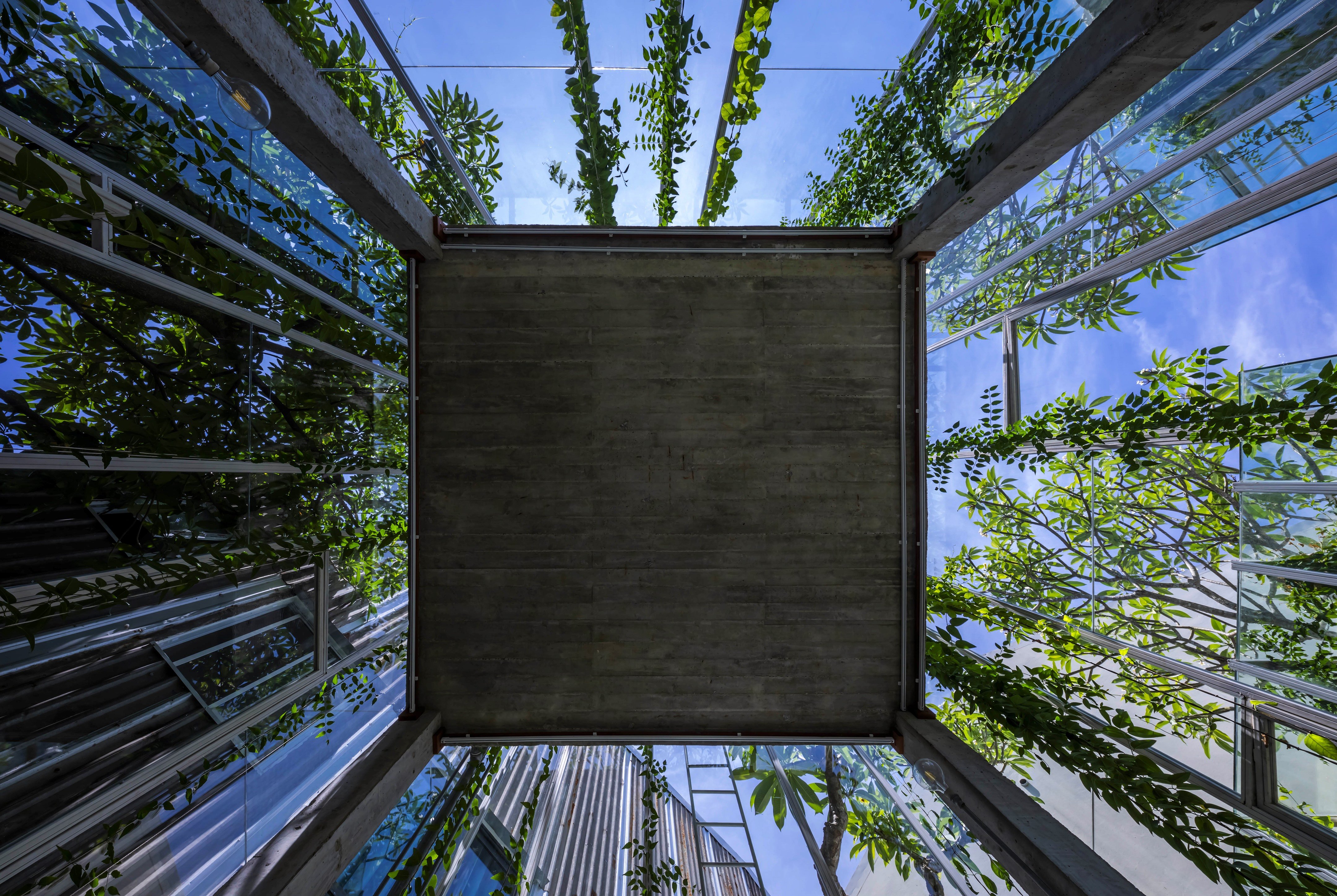 拉布里森林屋丨越南丨Nguyen Khai Architects & Associates-23