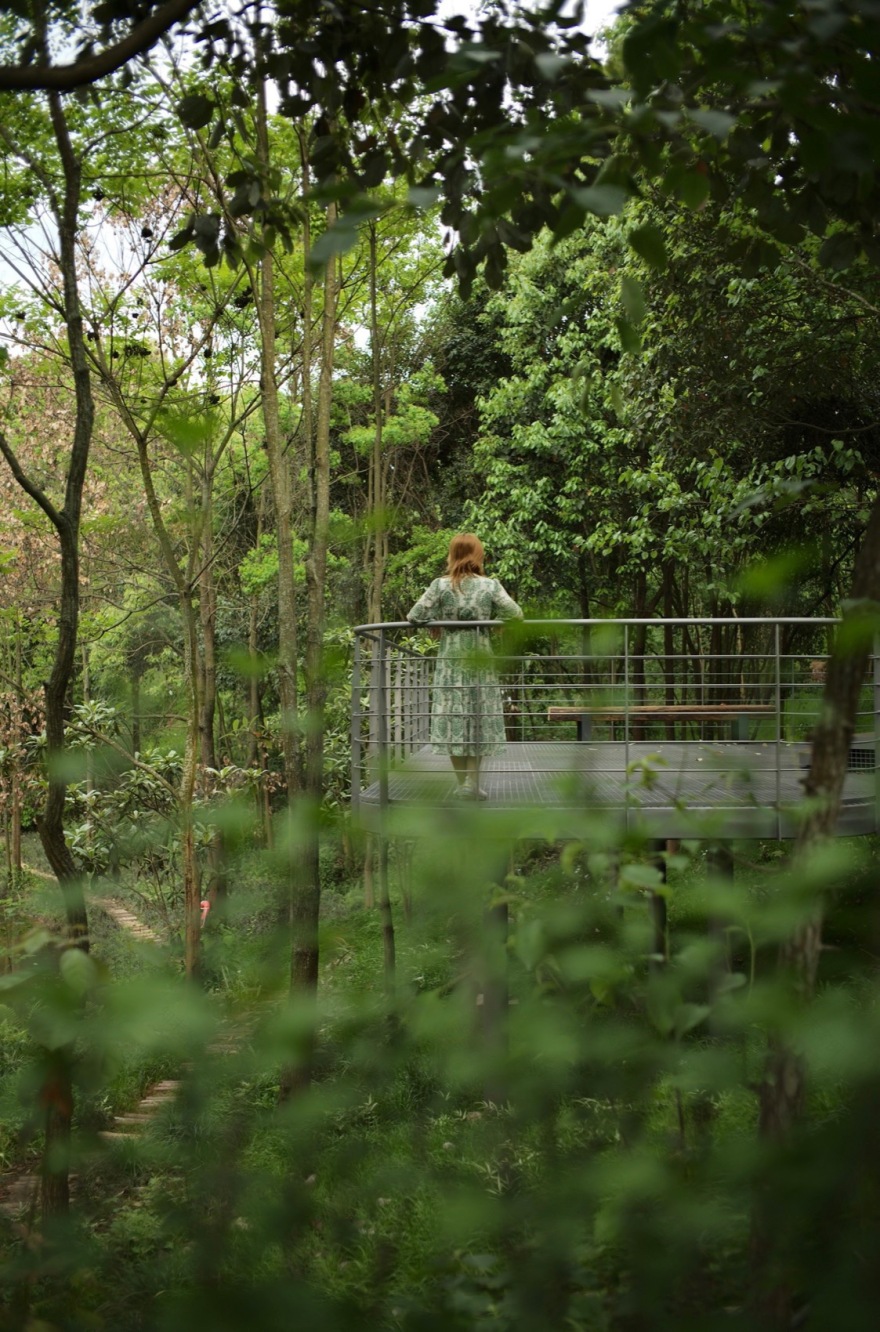 麓野公园丨中国成都丨四川乐道景观设计有限公司-118