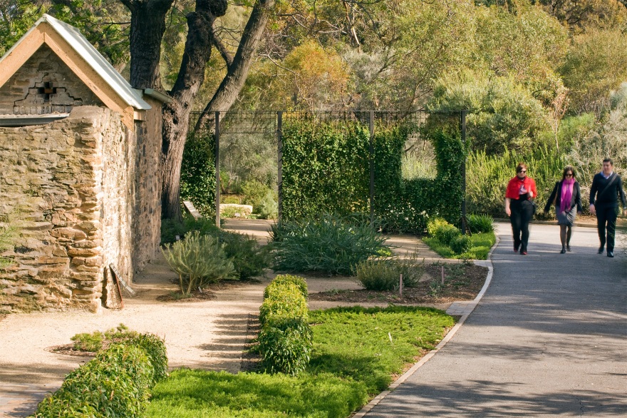 阿德莱德植物园本土花园丨澳大利亚阿德莱德丨TCL-14