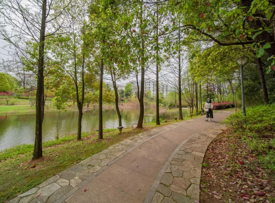 黄石磁湖西岸韧性景观设计-33