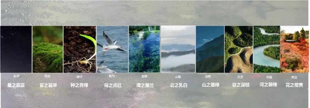 重庆融创林与麓丨中国重庆丨WTD纬图设计-8