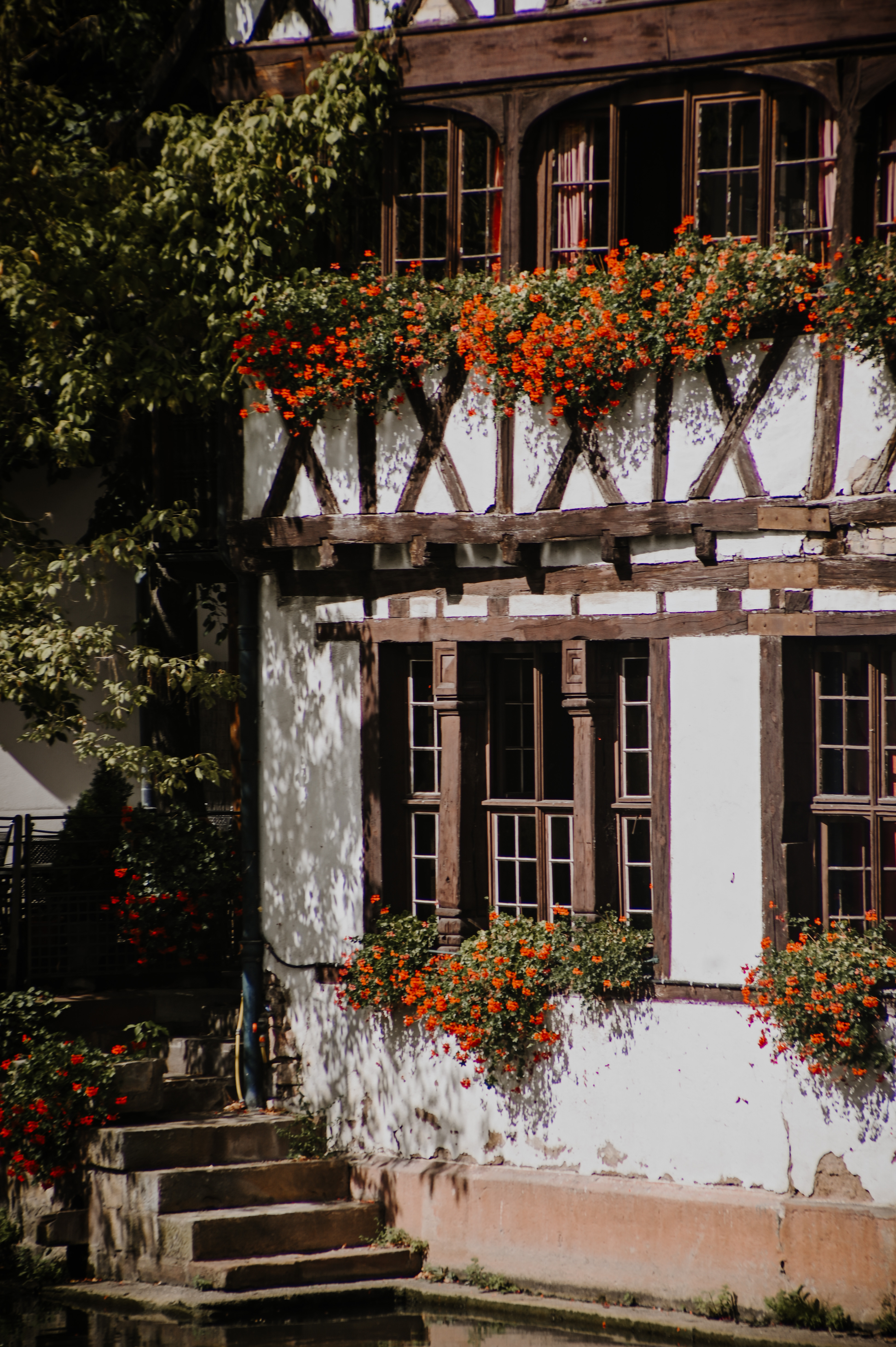 花与建筑的拥抱丨rach_vdb & hash_yan-11