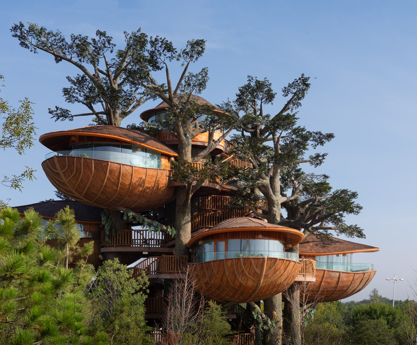 林间之巢丨中国日照丨动奇屋-10