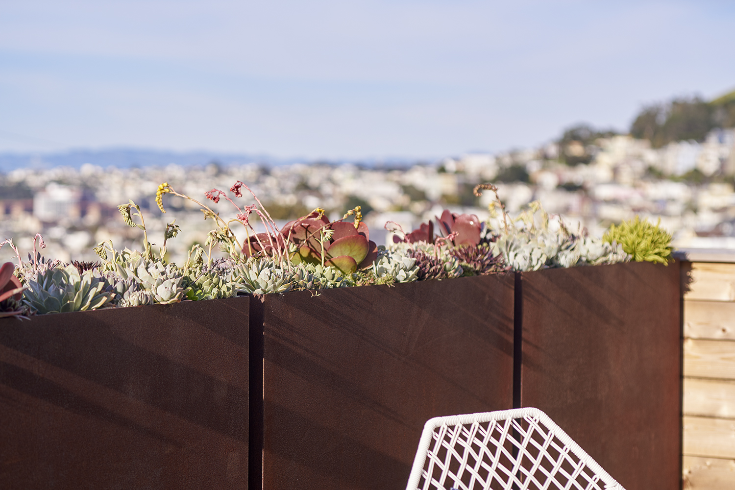 旧金山兰德尔街住宅-27