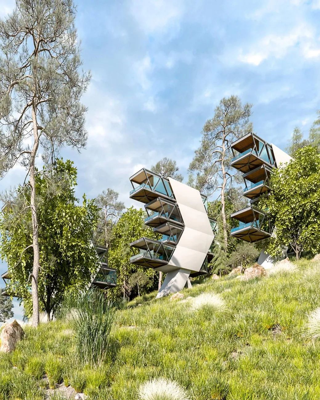 森林中的飞行别墅丨Sajad Motamedi-2