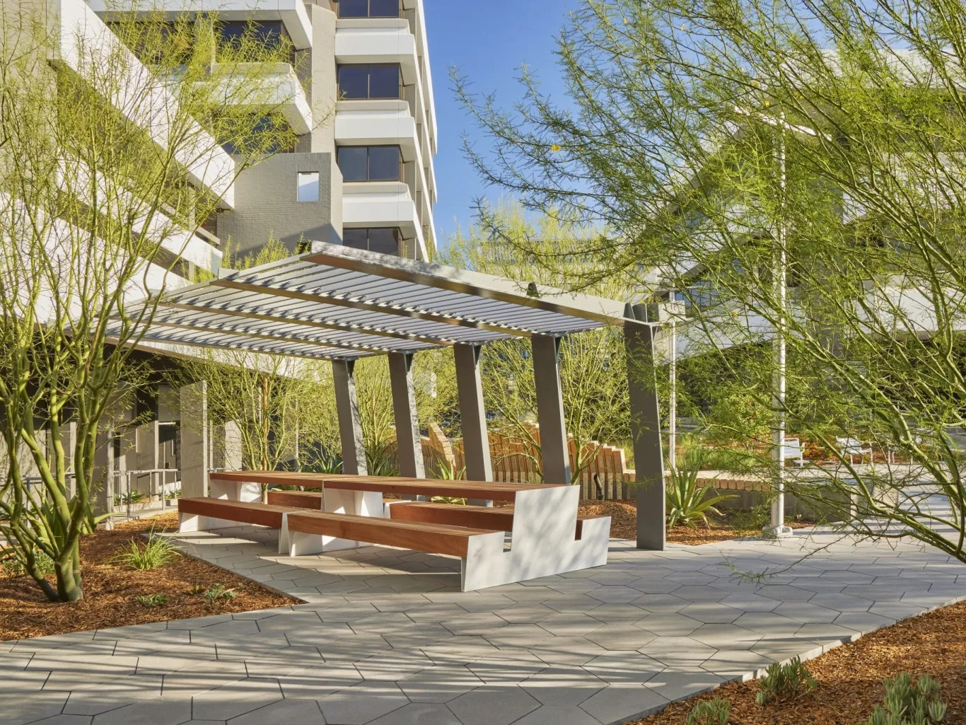 加州核桃溪·种植者广场丨Groundworks Office 设计事务所-2