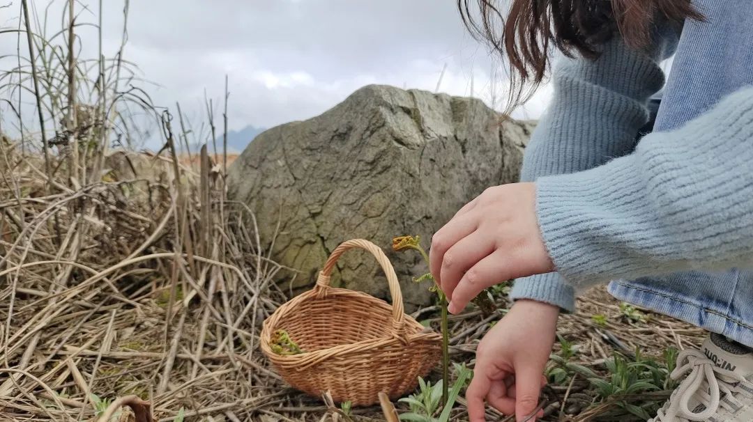野奢秘境，探寻春日浪漫-48