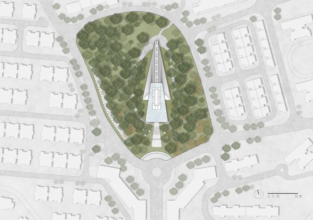 未来之塔 | 浮于松林的景观瞭望与共生空间-24