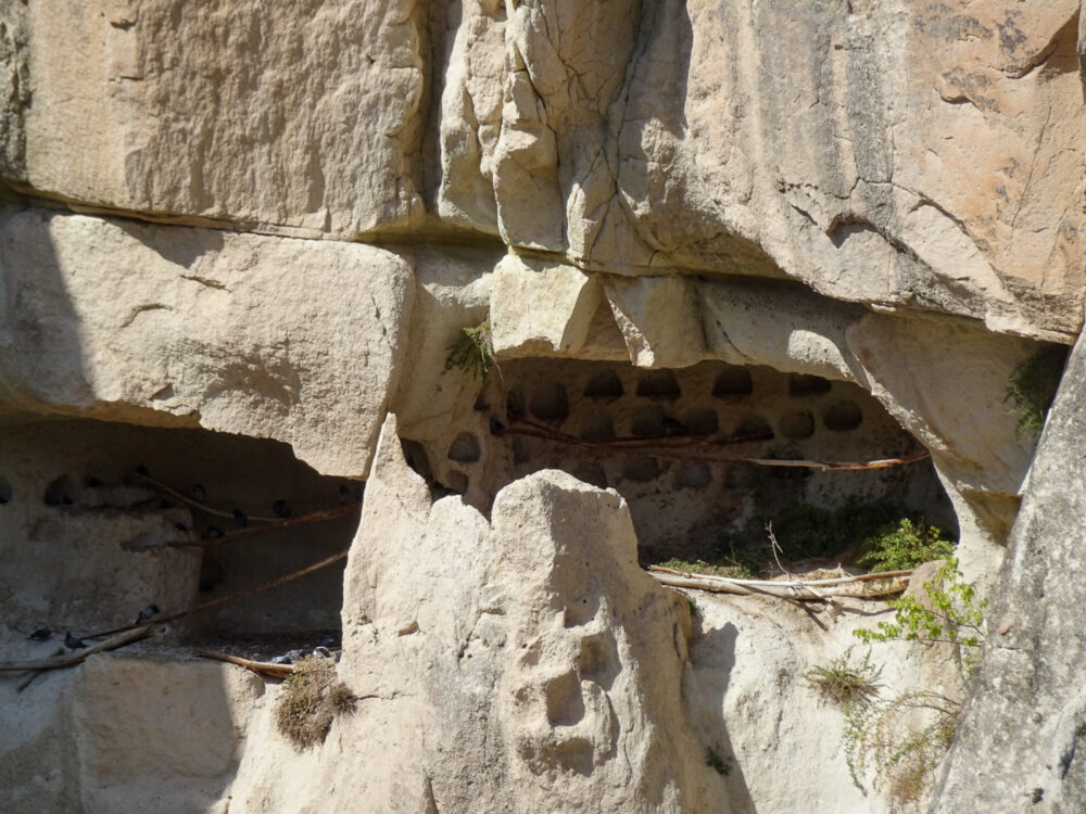 ギョレメ野外博物館（Goreme Open Air Museum）-56