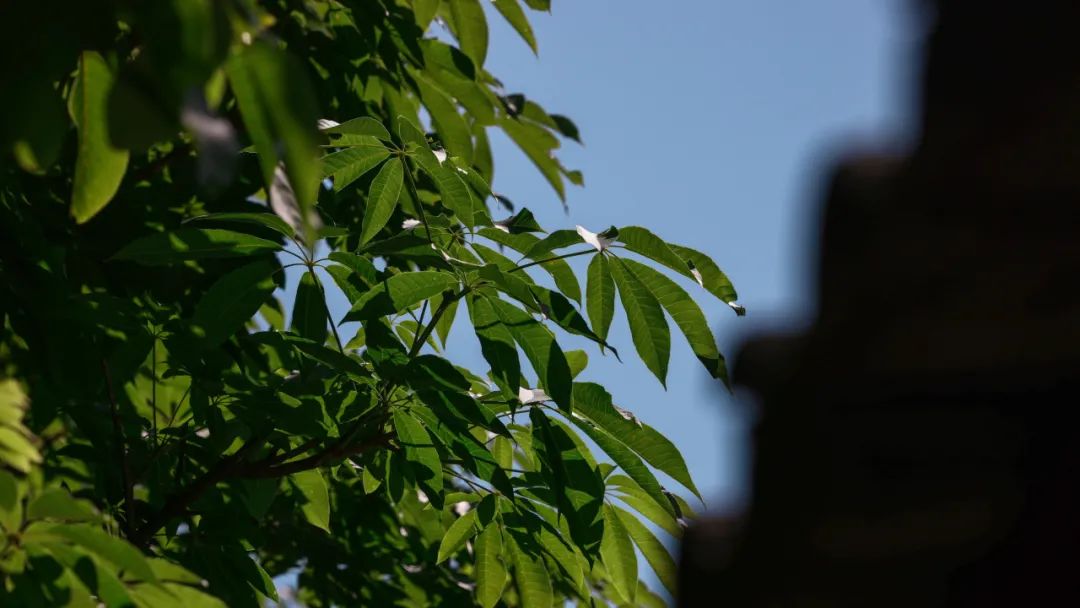 “薪火”天文台丨中国陕西丨安哲建筑-40