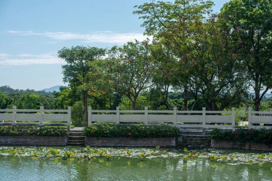 六百年岭南古村,如何振兴?丨广州花都港头村改造提升-72