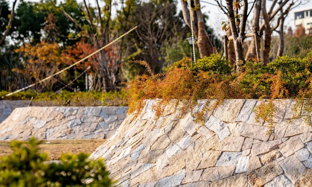 上海松江方松体育公园-39