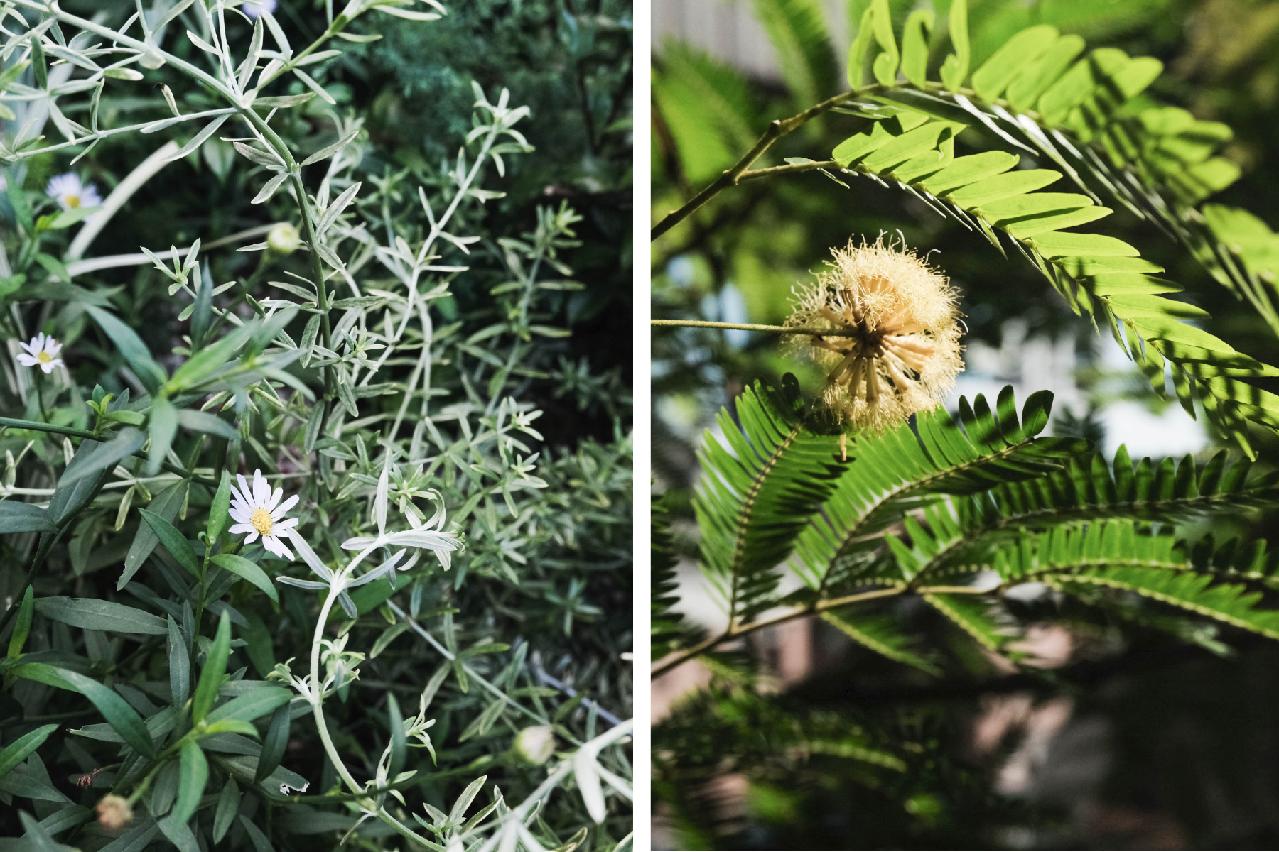 住宅案 | 板橋區 | 陽台景觀設計-7