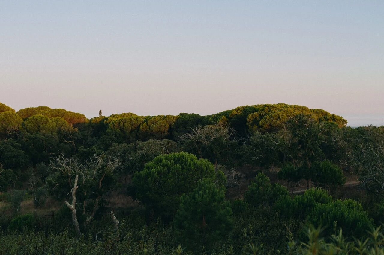 Pa·te·os｜葡萄牙的庭院之心丨建筑师Manuel Aires Mateus-19