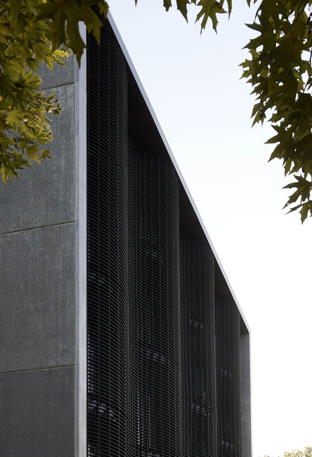 新西兰 Jervois Road 公寓丨新西兰奥克兰丨Monk Mackenzie-13