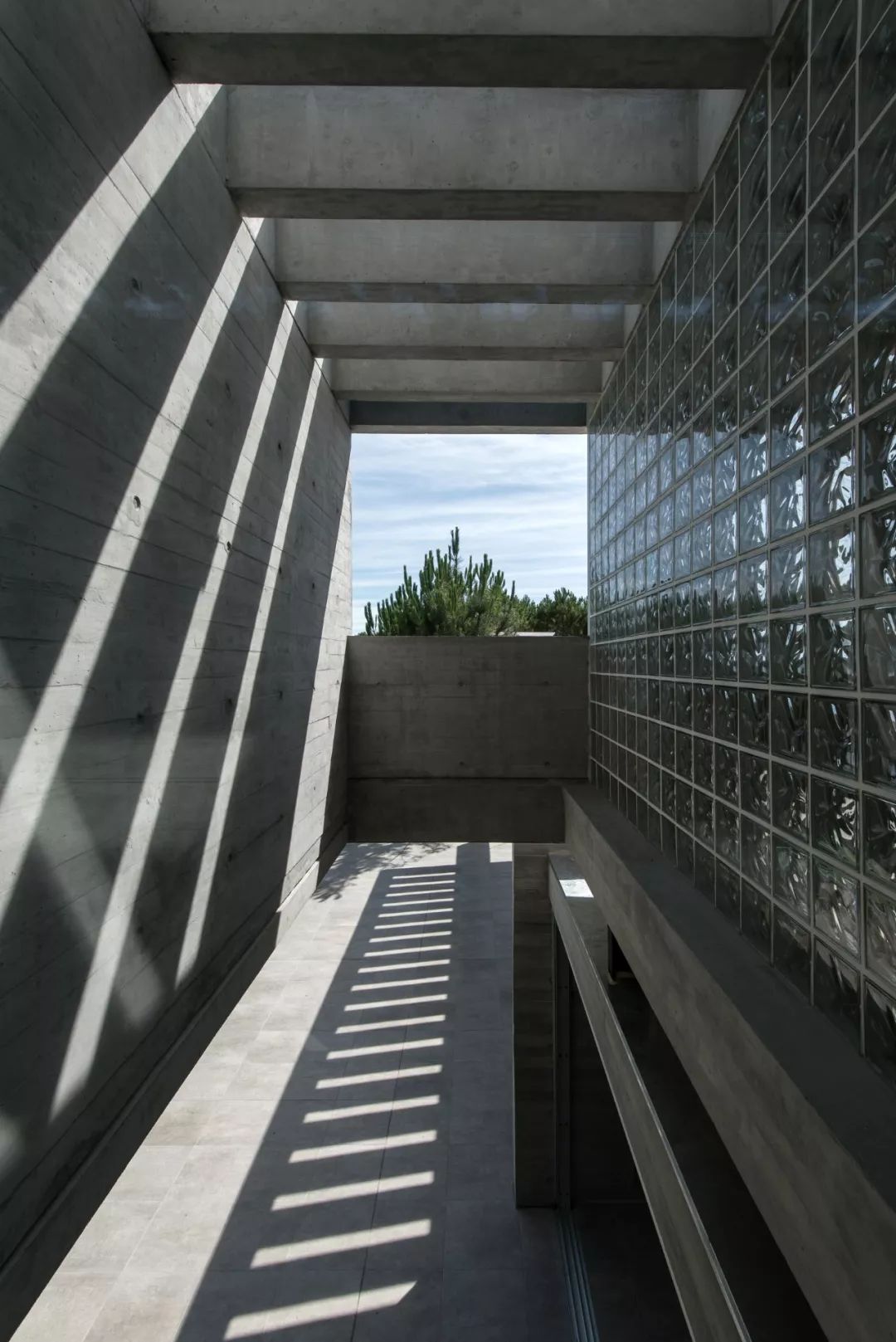 Galera 建筑工作室 | 光、空间与形式的平衡探索-36