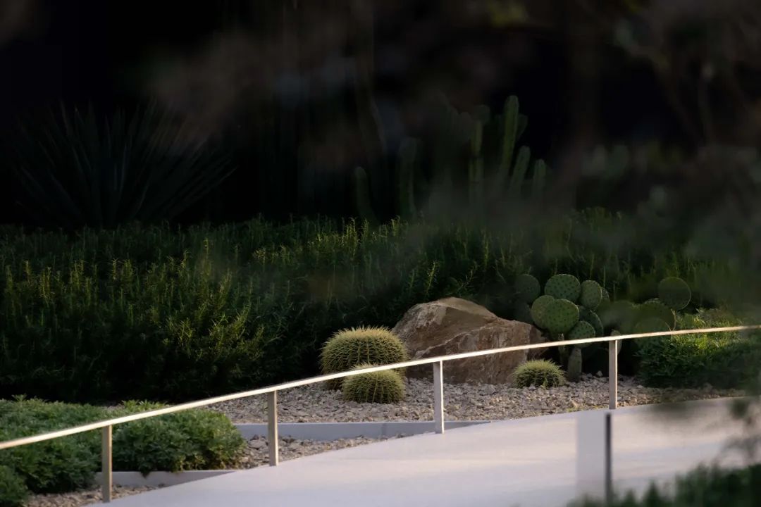 未来曲度 | 麓湖样板岛的新实验场-47