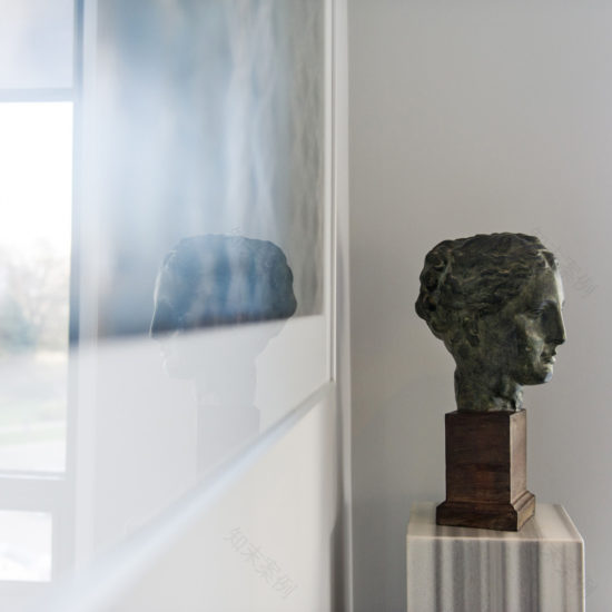 Avenue Road公寓重建项目丨Timothy Johnson Design-7