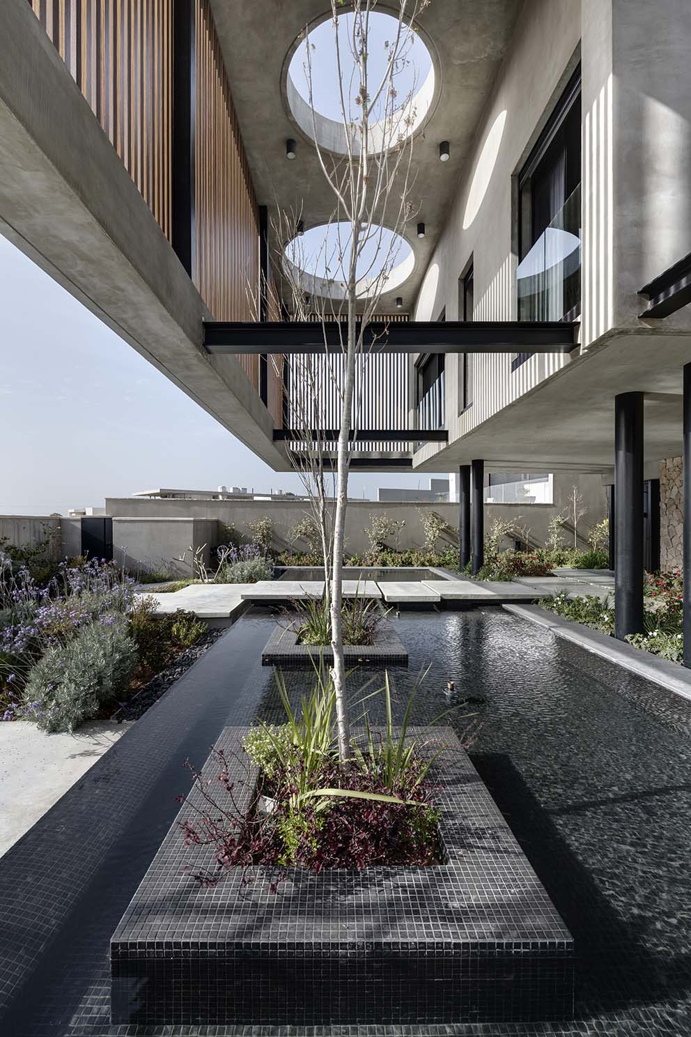 כאלמנט המרחף באוויר | PNIM.CO.IL-16