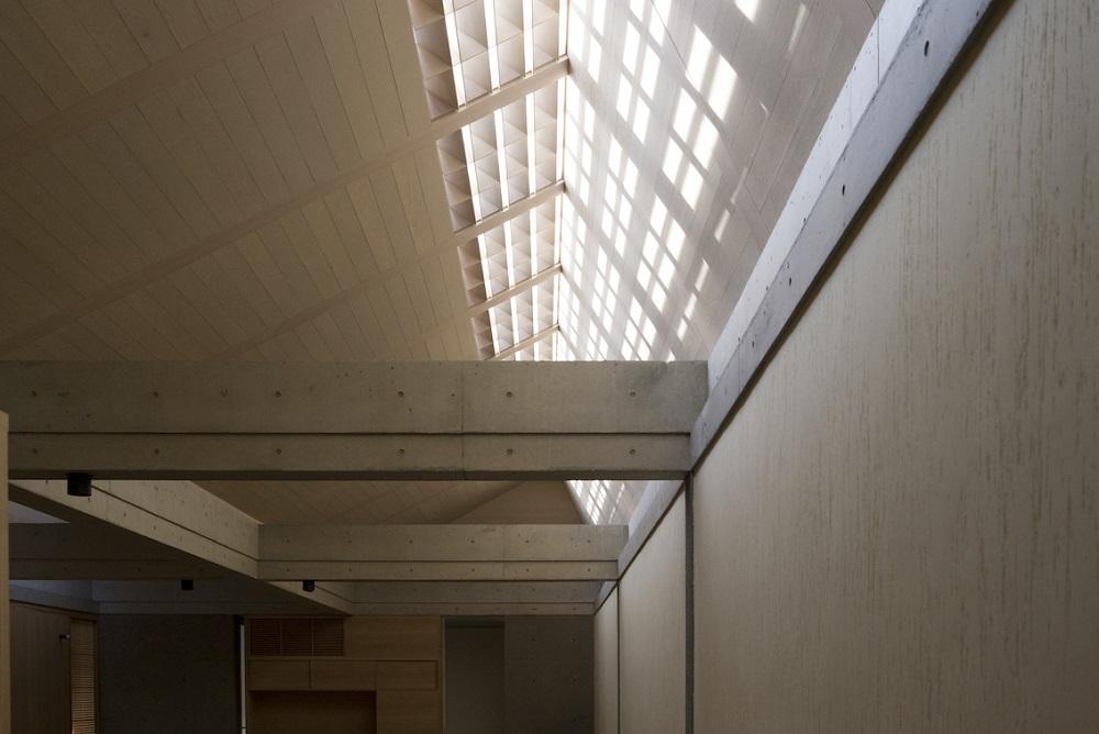 小石川“蝴蝶”屋顶住宅丨日本丨手嵨保建筑事务所-15