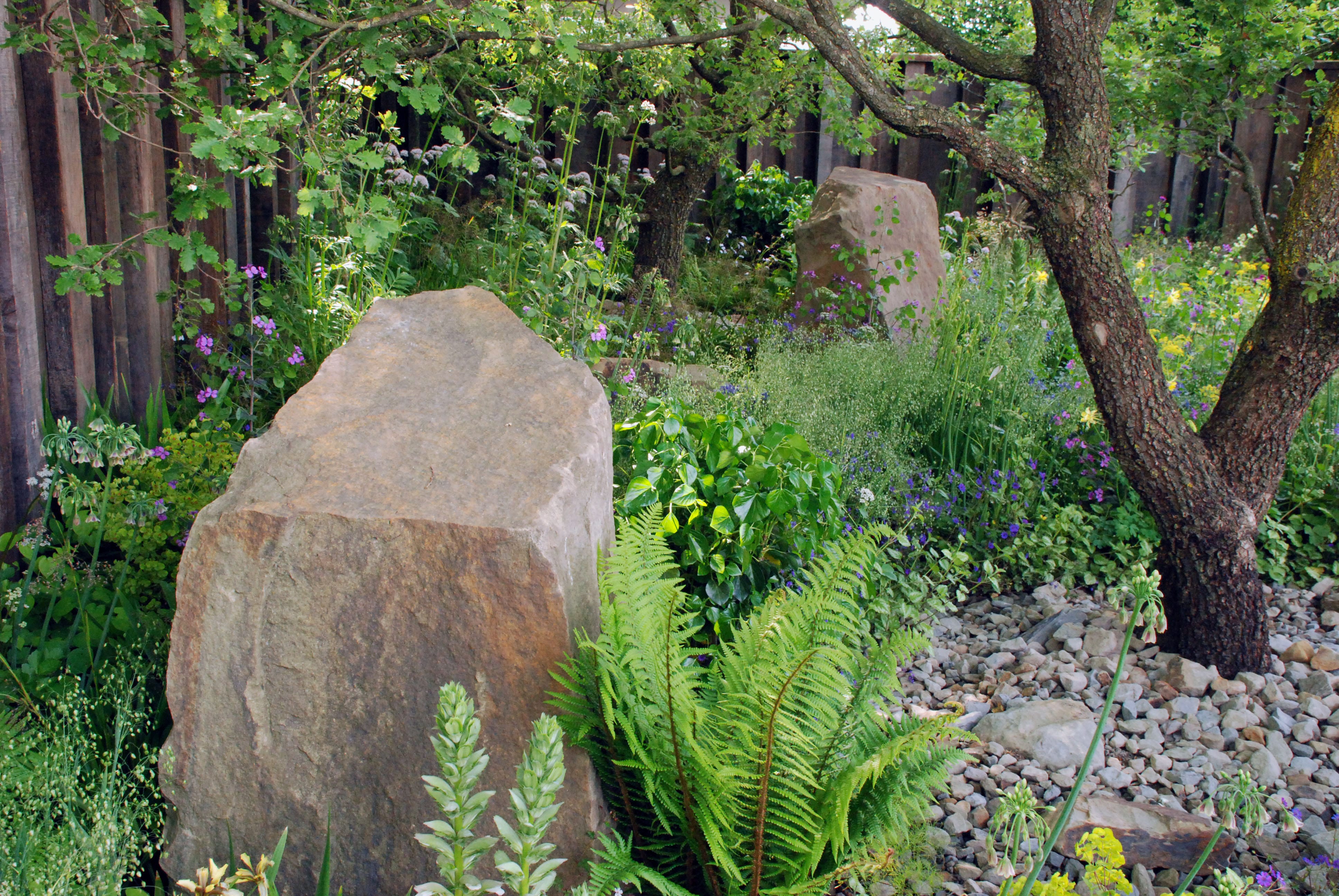 橡树林的回忆 | Cleve West 的 M&G 花园-21