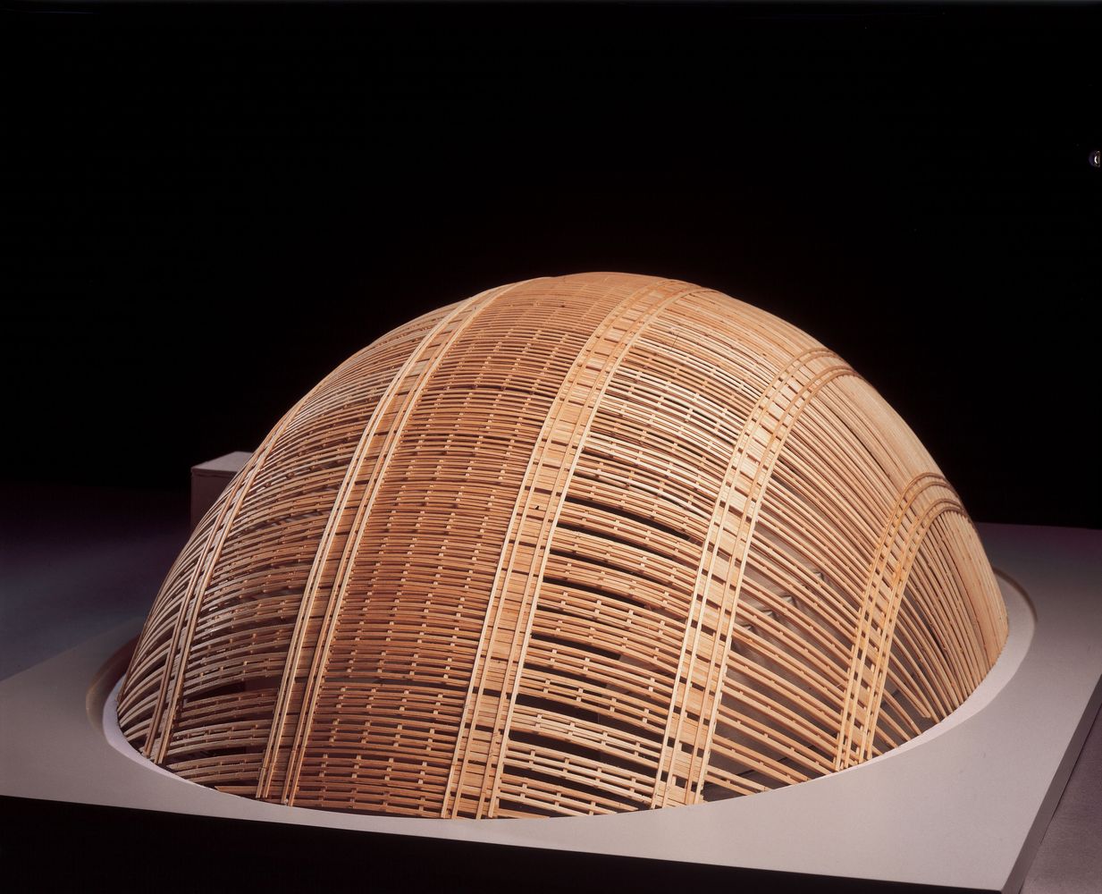 Walloon Branch of Reproduction Forestry Material   SAMYN and PARTNERS-47