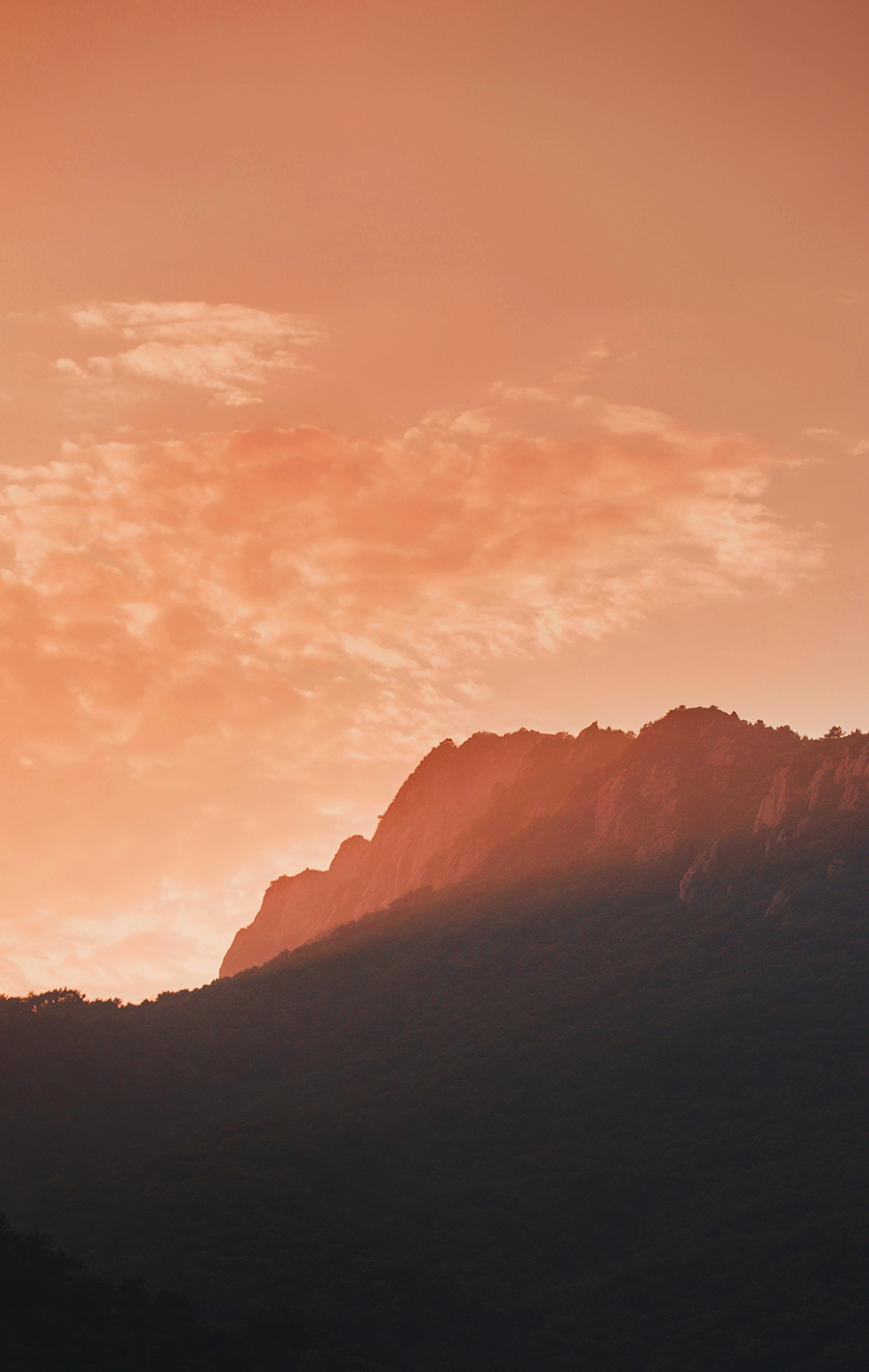 洛岚 L HOTEL民宿酒店丨中国天津丨無隐建筑-29