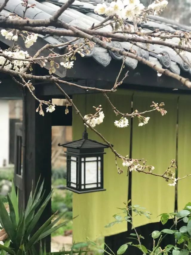 Color Case/90后帅小伙儿仅花3千爆改出租屋后-98