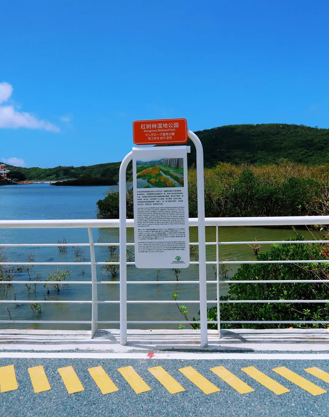 碧波翠影，湿地的生态画卷与导视之诗|东涌红树林湿地景区标识项目-27