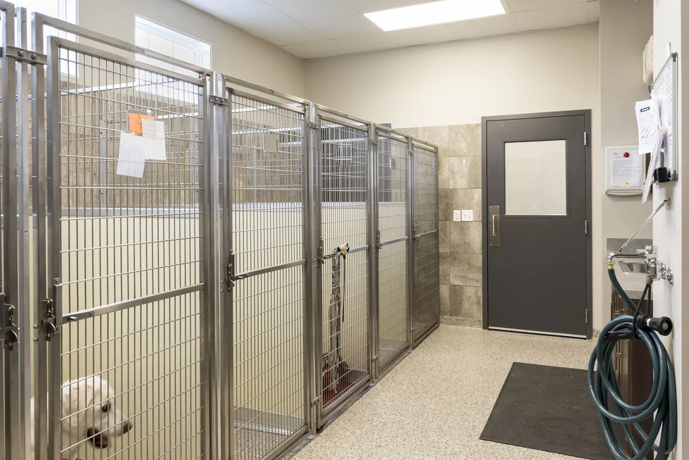 格伦代尔动物医院丨Linden Group Architects-4