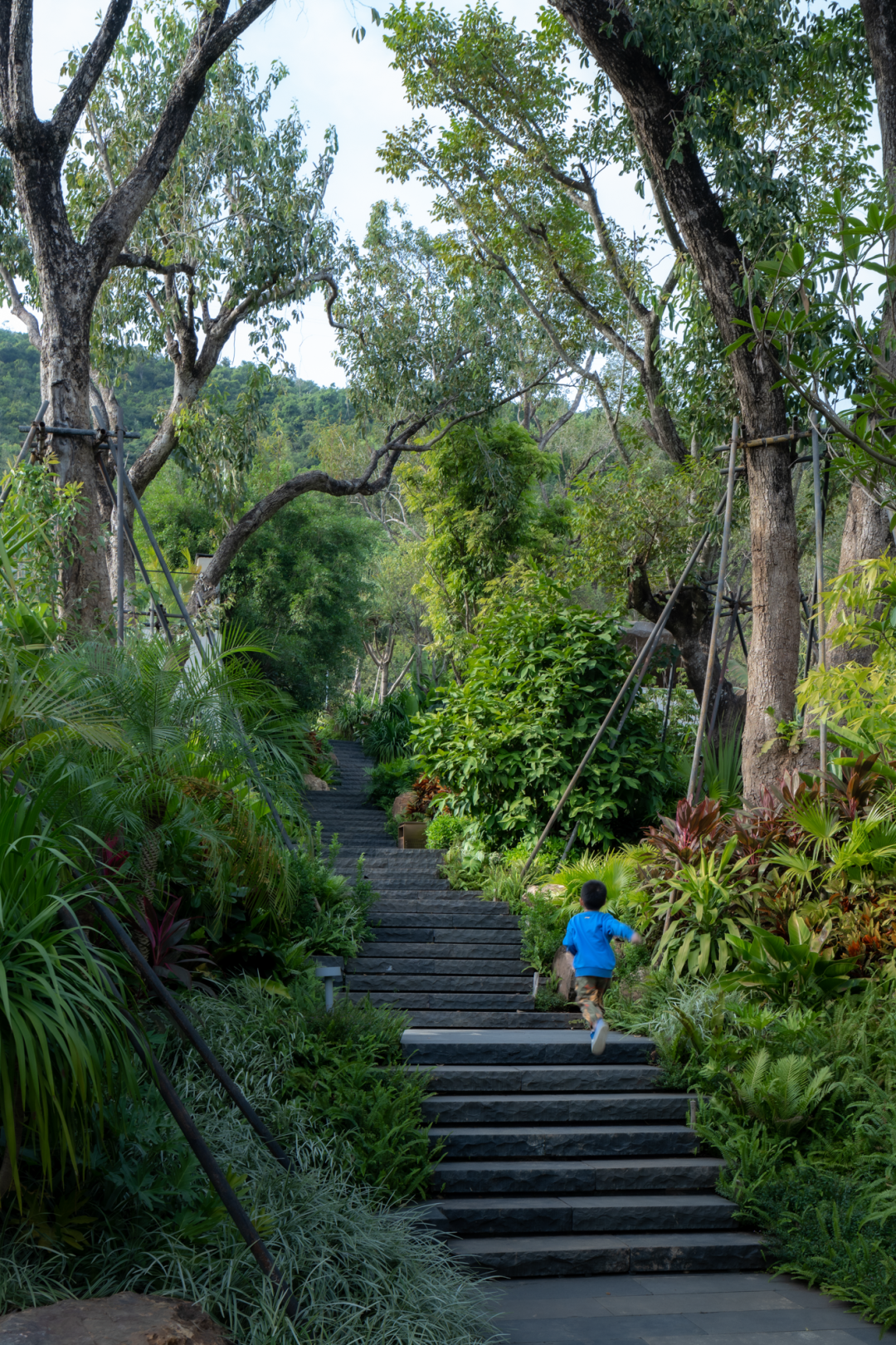 三亚万科瑧山谷,都会四季丨中国三亚丨WTD纬图设计-7