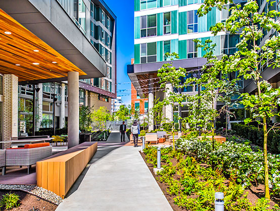 奥丁（北欧神话中的主神）丨美国西雅图丨Robin Chell Design-6