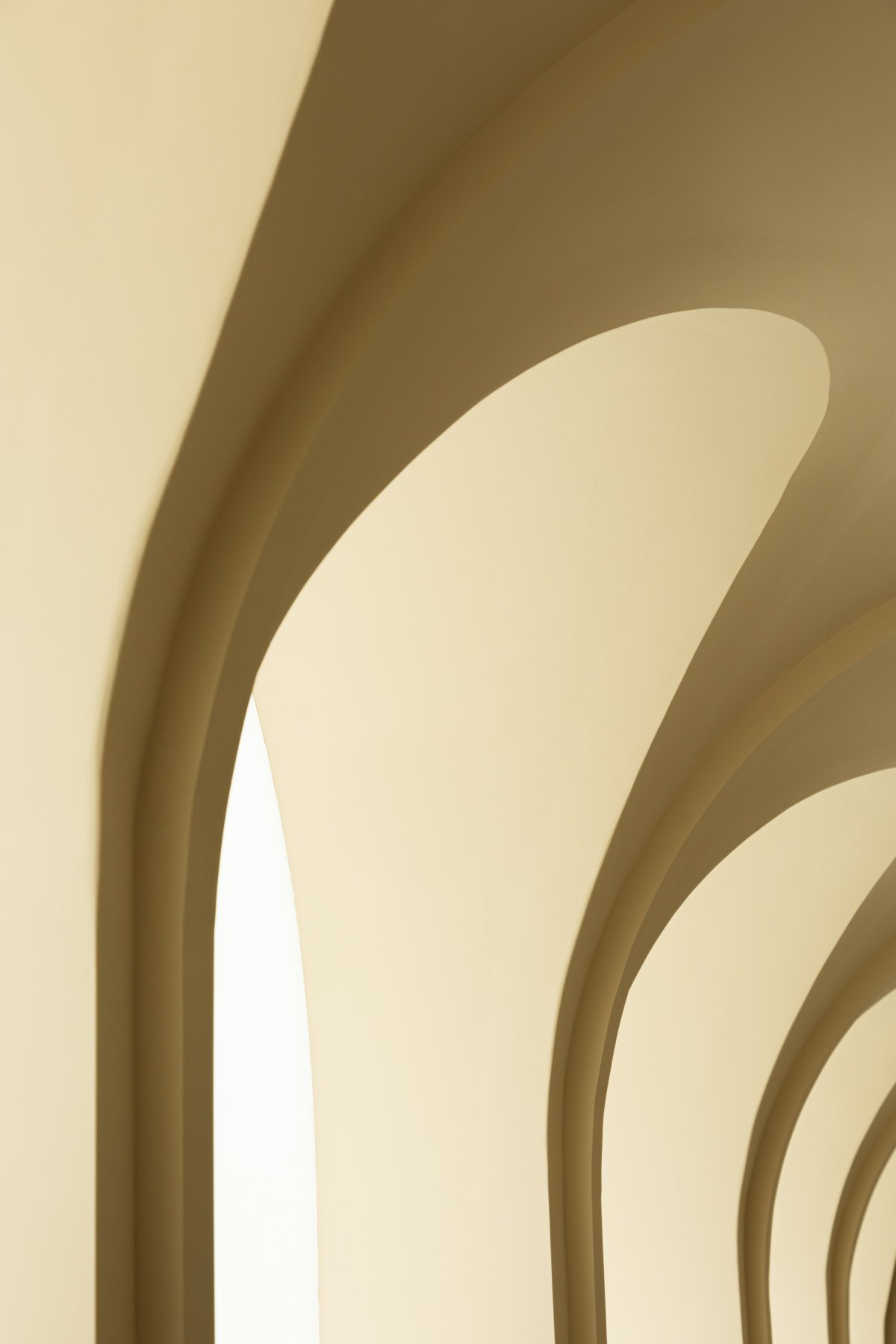 从心而觅丨戈多设计-18