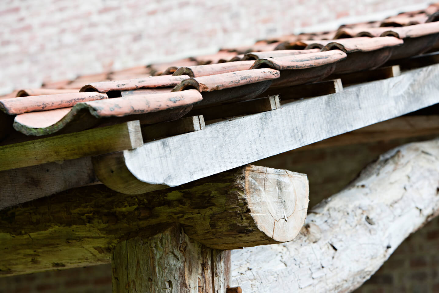 阿佩斯的居民数据库丨比利时东佛兰德-16