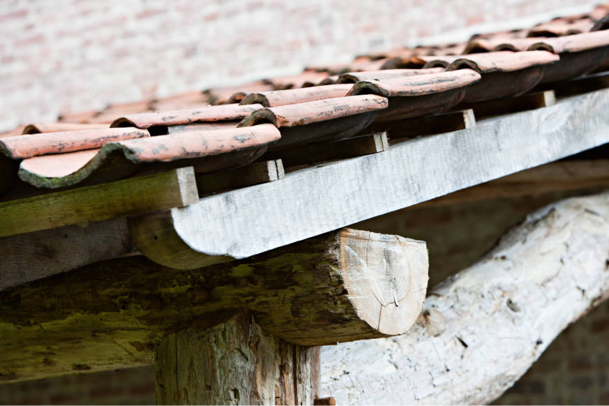 阿佩斯的居民数据库丨比利时东佛兰德-16