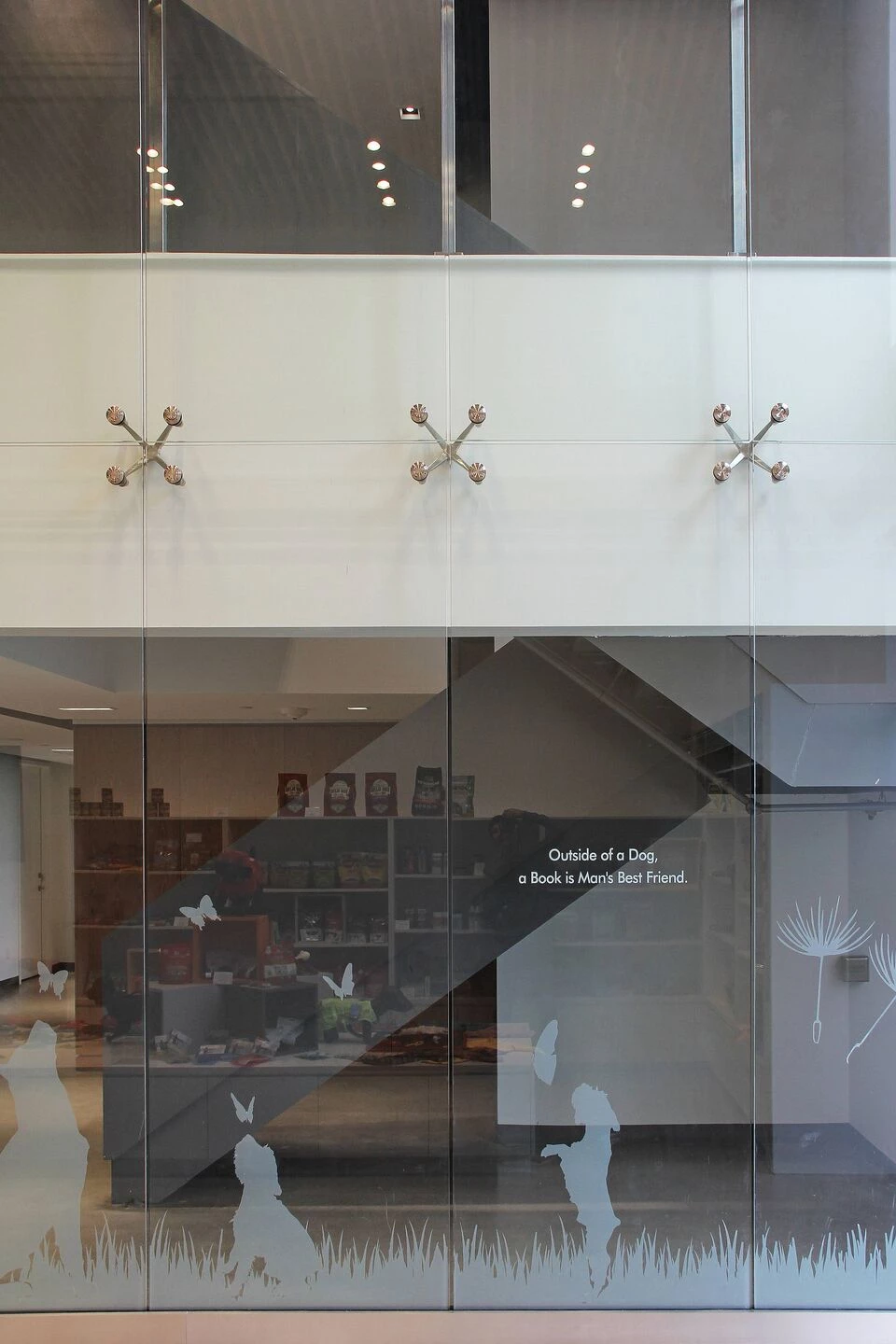 Park Lawn Dog Daycare-29