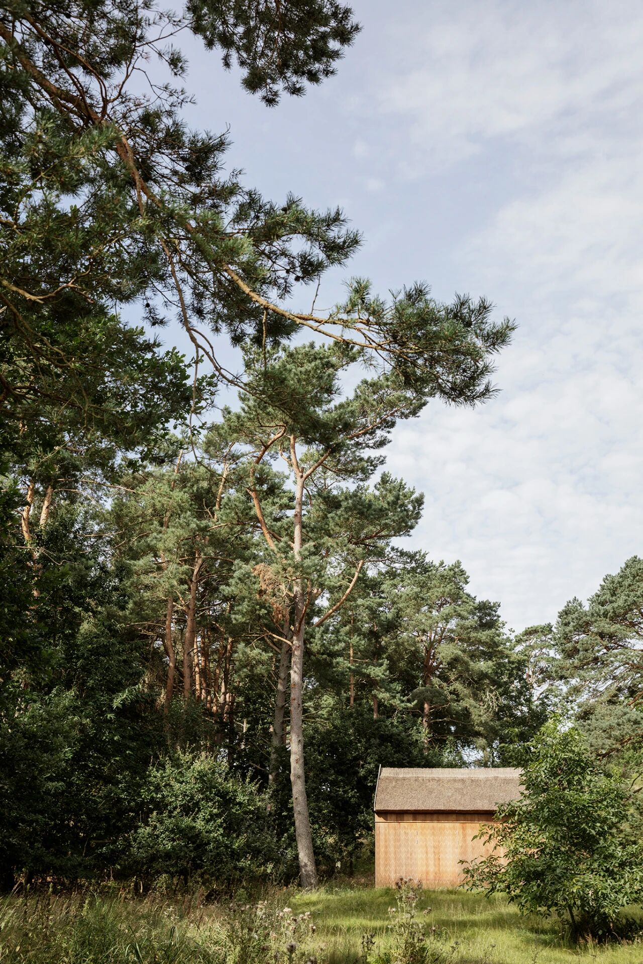 茅草夏日别墅丨丹麦丨KHR Architecture,Garde Hvalsøe-9