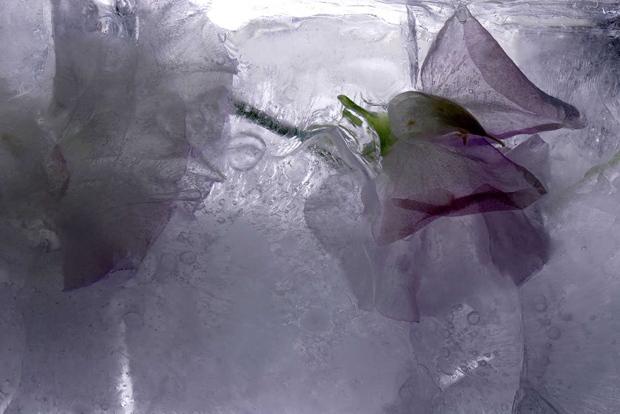 奇异梦境 | 摄影师 Namiko Kitaura 的艺术世界-43