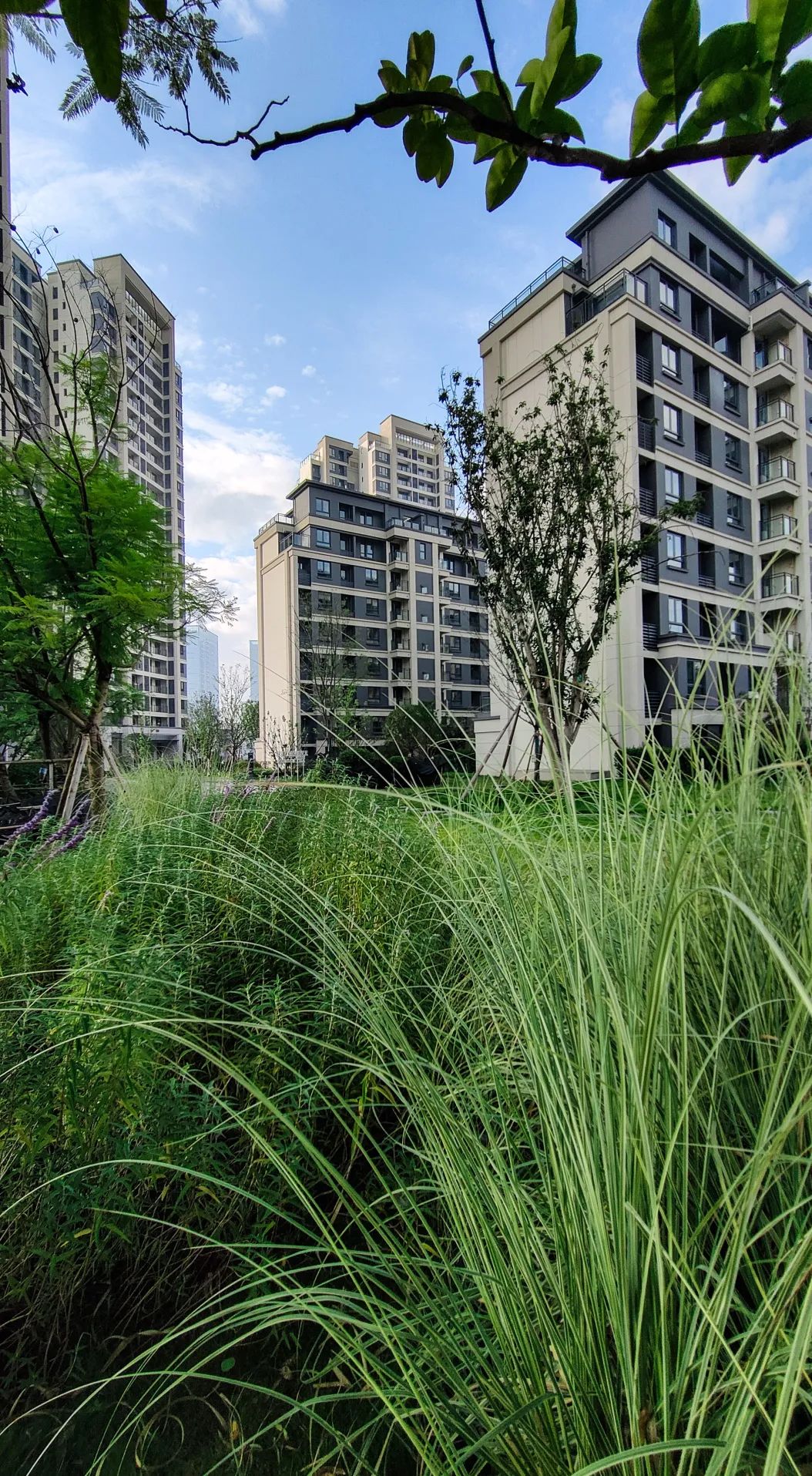 归心交付｜晓风澜庭一期交付，打开滨江都会生活之门-80