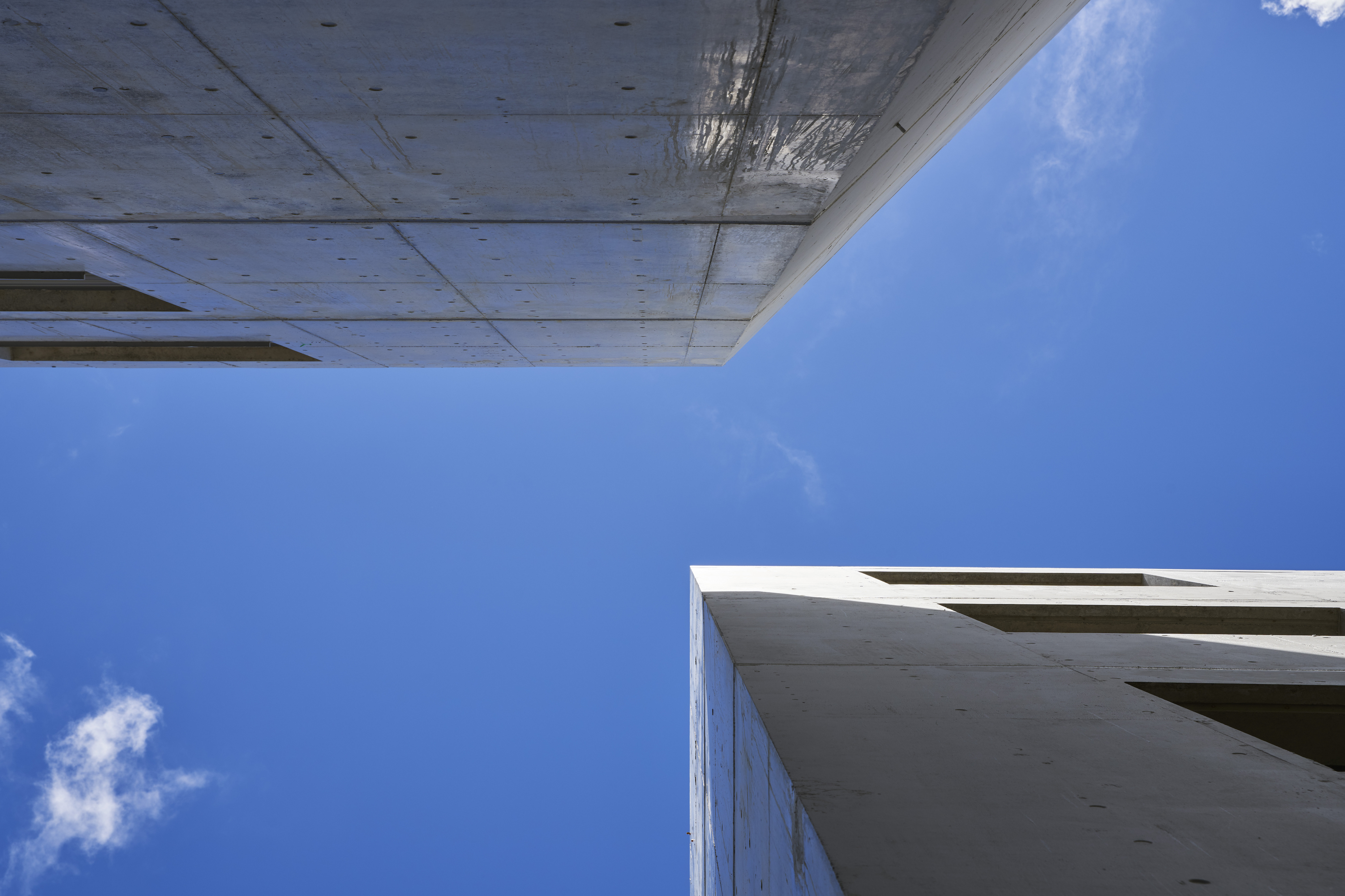 S 公寓丨Yohei Kawashima architects inc.-49