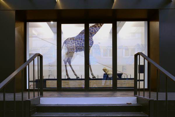 奥尔良生物多样性与环境博物馆生土展示台项目丨法国奥尔良-26