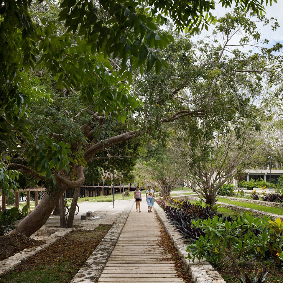 Balneario Bacalary浴场丨墨西哥丨Colectivo C733-32