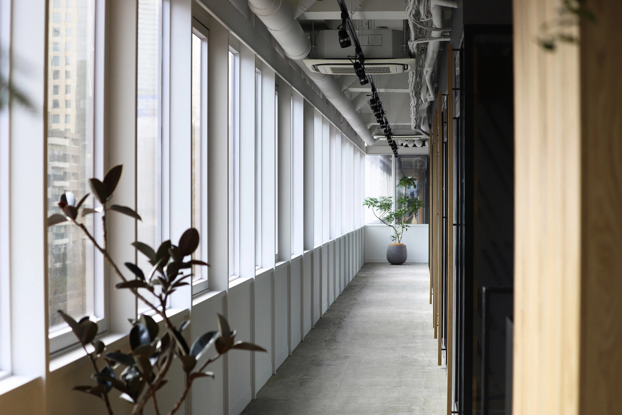 颠覆性的办公室设计 | TBWA\HAKUHODO 东京总部-50